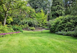 Optimiser l'expérience du jardin à Fontenay-en-Parisis